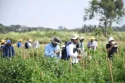 国外乡村旅游开发模式及案例解析 种植技术开发的创新路径