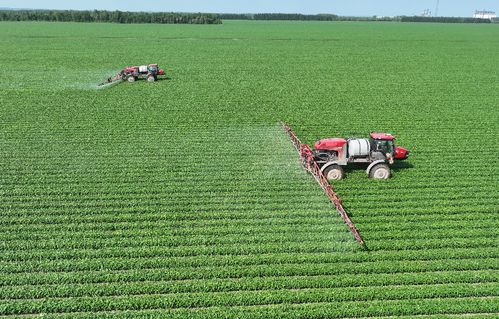 北大荒集团北安分公司 以定制农业与种植技术开发，绘就高质量发展新图景