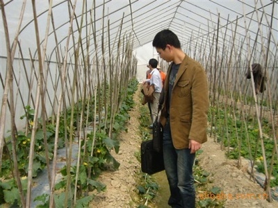 苦参碱杀菌剂——绿色植保新选择，诚邀广东地区经销商合作共赢