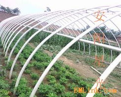 供应新型大棚支架 安阳星光种植技术开发引领农业现代化