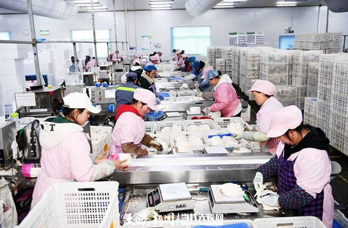 日产量达70吨，产值60余万元 工厂化种植食用菌助农增收的技术开发与实践