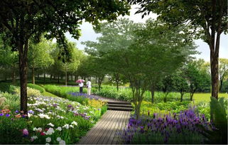 荣程集团 以种植技术开发为引擎，谋绿色发展，与城市共生