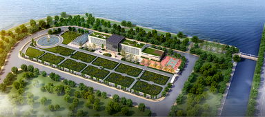 青岛海水稻研发中心揭牌，首代稻种预计11月问世，技术开发引领农业新篇章