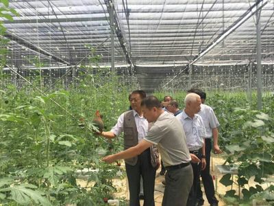 袁文先将军深入三明调研，为扶贫改革与种植技术发展注入新动能